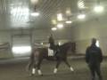 videos de George Williams Clinic Murfreesboro TN (Nov 2008)