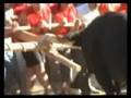 Toro Veranito 2008