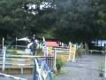 videos de VOLTAIRE jumping horse