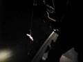 2007 Bowfishing
