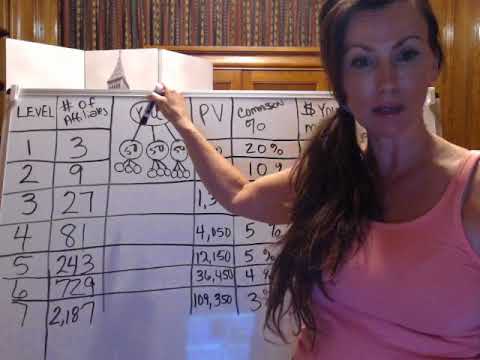 How We Make Money in our Network Marketing Company