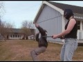 Counter Strike-Parody