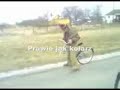 Zywiec 5 (funny commercial)