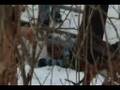 Apples & Oranges - Matt Beardmore's Part