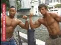 Miami Bodybuilding Muscle 2009 Volume 2