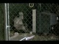 Banksy hits NYC pets store