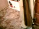 my kirby vacuums