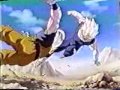 Goku and Vegeta Tribute AVI Goku and Vegeta Tribute AVI