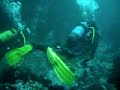 Buceo en el Cant�brico