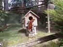 red-panda-petit-panda-panda-maa.html