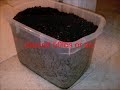 55g planted aquarium
