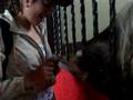 videos de cavalo super falante