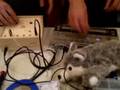 tr-606 + circuit bend = SYNC