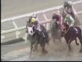 平成15年11月11日第15回上山競馬第4日目第11競走（セイウンリンクス勝利※上山競馬最後の重賞です）