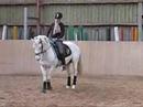 Asmindrupg�rds Don Quioxte og Louise W. Dinesen