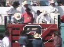 the 2007 pendleton round-up  -- supposedly one of the biggest and best rodeos in the world.  this video exposes pendleton, its stock contractor ike sankey and contestants for shocking tame, domesticated horses to make them appear wild, as rodeo judges witness the violations and do nothing.

it's worth mentioning that the east oregonian, a local pendleton newspaper that brownnosed the rodeo to an embarassing degree, has failed to cover any of the overwhelming abuses documented by shark investigators.  furthermore, the east oregonian also provides a trophy for the animal abusers at the rodeo.  so much for journalistic integrity at the east oregonian.