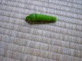 caterpillar running caterpillar running