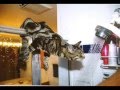 witige tiere