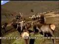 Wild About Washington: April 2006