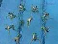 Synchronized Swimming-Greece Team, 2007 Fina ...