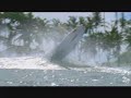 Mick Fanning Mick Fanning