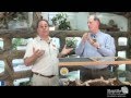 Prehistoric Pets + Reptiles Magazine: Reticulated Python Care