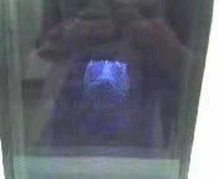 Joseph Cornell Disco 1