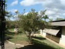 Projeto Farmácia Verde Fitoterapia no SUS Ipatinga MG