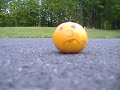 Poor Little Orange Poor Little Orange