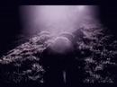 Elegies to Lessons Learnt - Teaser 1