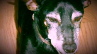 Good-bye, Dear Friend