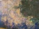 a massive painting of water lillies by monet covers an entire wall of the moma.  impressionists are so delicious!