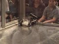 DucBot at Smackdown in Sactown