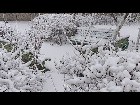 На Гомельщине ожидают настоящую зиму видео