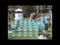 Equestrian Sports