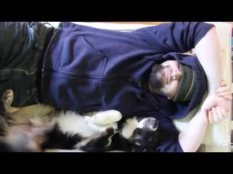 This Dog Isn't A Fan Of Naps