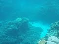 Great Barrier Reef snorkeling