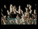 Ian Cussick - meet me by the water_1.mpg
