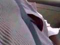 Funny Video from My Phone (07022007001.mp4)