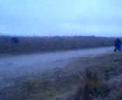 50cc whellie and tricks