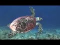 marshall islands