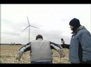 Wind, Loser, Draw