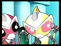 novas diary
