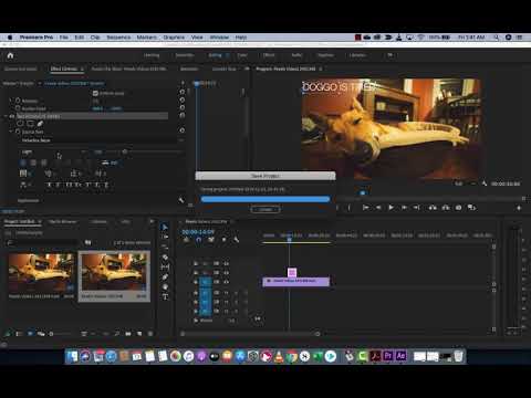 video-linktoworks-How to Add Text in Premiere Pro 2020 - YouTube