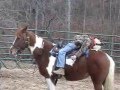 videos de Foxy Lady and kids