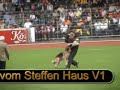 SV BSZS-2006 Oberhausen World German Shepherd Championship Ruden Protection (Part VI). Dog training. Nando della Valkuvia, Orbit vom Huehnegrab, Bravos vom Steffen Haus, Merlin v Osterberger-Land, Tor di Casa Nobili. By eyes of Irina Kuznetsova vom Irin Hof.Бундес Зигер 2006 Оберхаузен Немецкая овчарка Кобели Проверка поведения (Часть VI) как её увидела Ирина Кузнецова ( владелица питомника фом Ирин Хоф ).http://members.virtualtourist.com/m/tt/79622/#TL