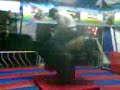 ANUAR EN EL TORO MECANICO