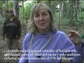 viaje a tambopata