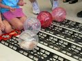hamster derby the montage!