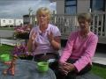 Caravan Parks More Popular As Holiday Makers Stay At Home default Caravan Parks More Popular As Holiday Makers Stay At Home